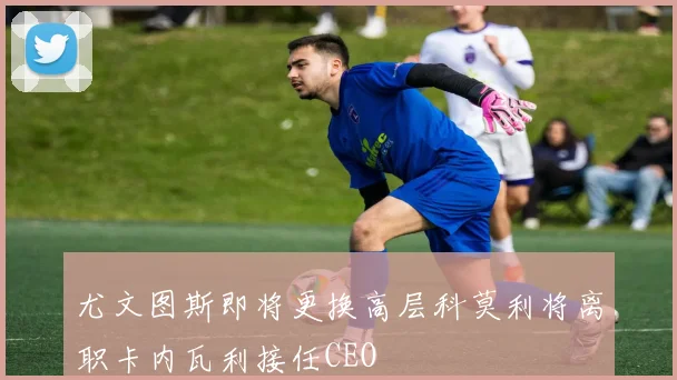 尤文图斯即将更换高层科莫利将离职卡内瓦利接任CEO